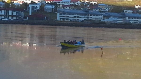 Eftirfalin störf eru laus til umsóknar