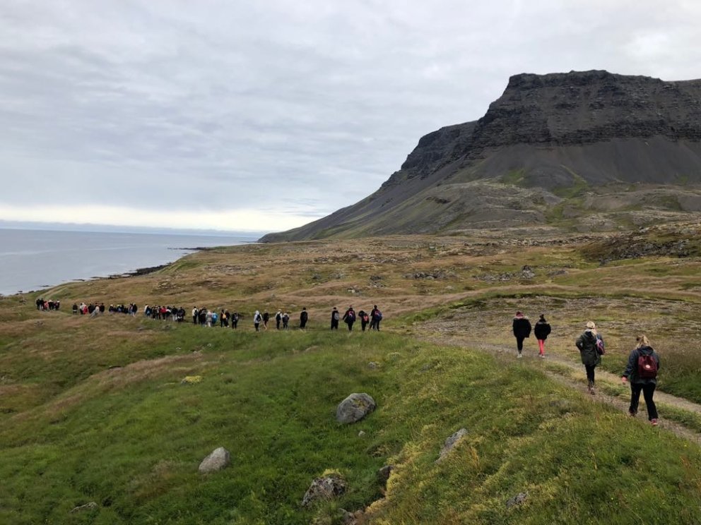 Laus störf í MÍ