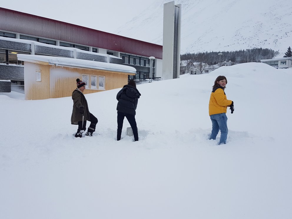 Snjólistaverk í undirbúningi