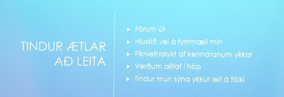 Tindur ætlar að leita