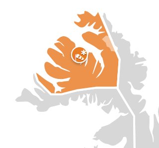 Appelsínugul veðurviðvörun á morgun, fimmtudag