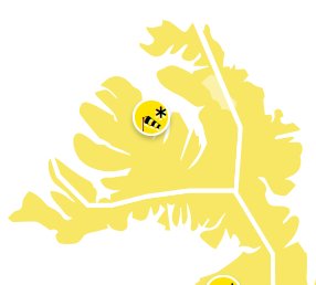 Gul veðurviðvörun á morgun