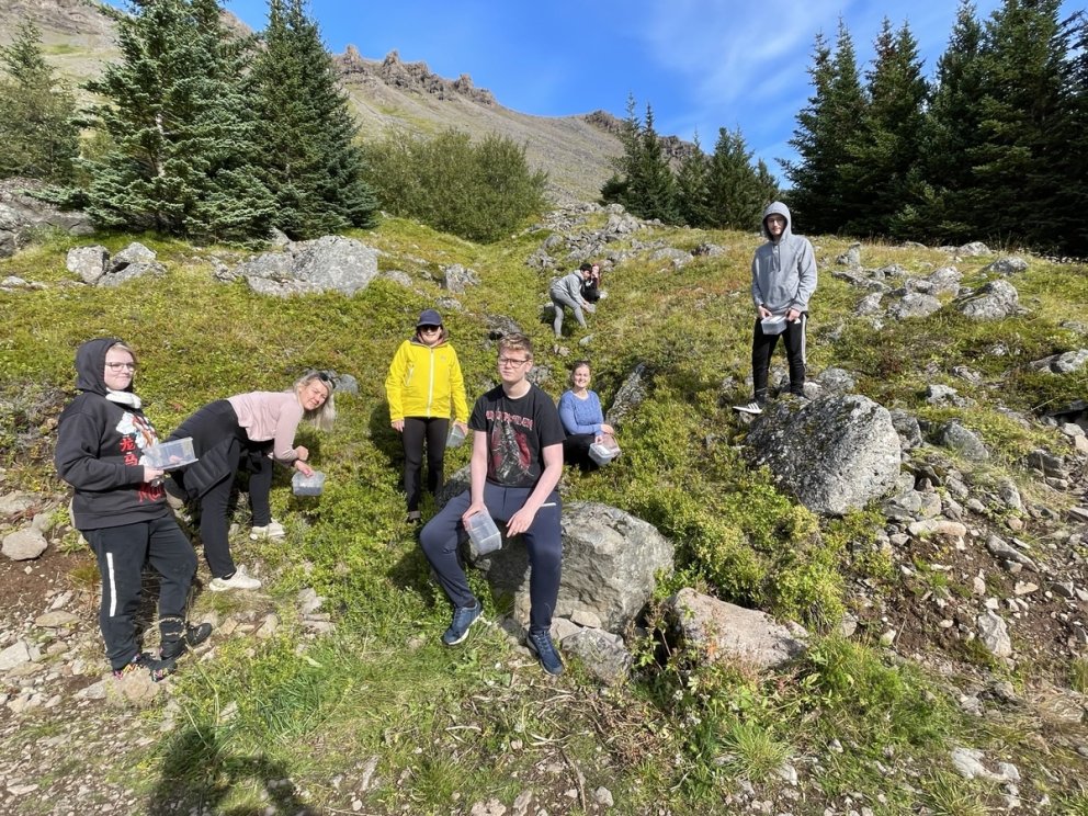 Útikennsla í berjamó