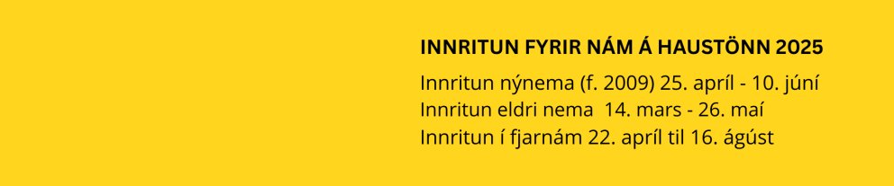 Umsjónarmaður fasteigna