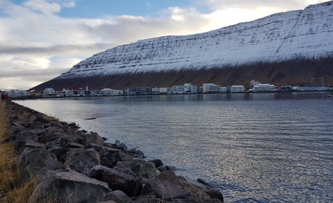 Kappróður 2018