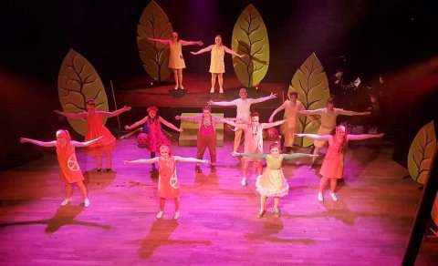 Ávextir í ávaxtakörfu - Ljósm. Matthildur Helgadóttir Jónudóttir.