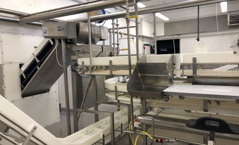 Mynd: Júlía Björnsdóttir