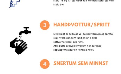 Upplýsingar í vikulok