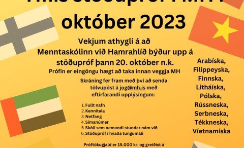 Ýmis stöðupróf í MH