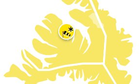 Rafrænt skólahald í dag