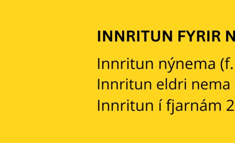 Öryggismyndavélar (rafræn vöktun)